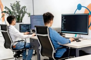 IT staff